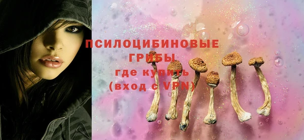 меф Коряжма